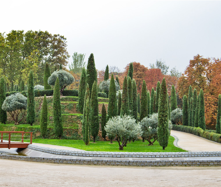 La Chopera y el Bosque del Recuerdo Paisaje de la Luz